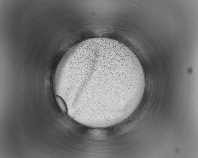 X0000116810221201001151150