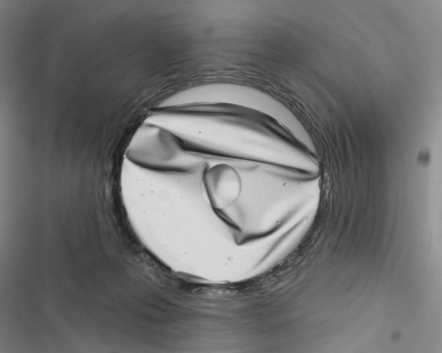 X0000116810223201001151150