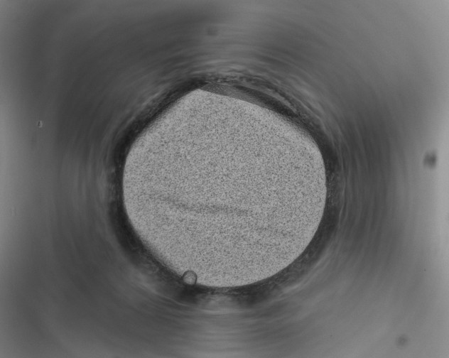 X0000116810224201001151150