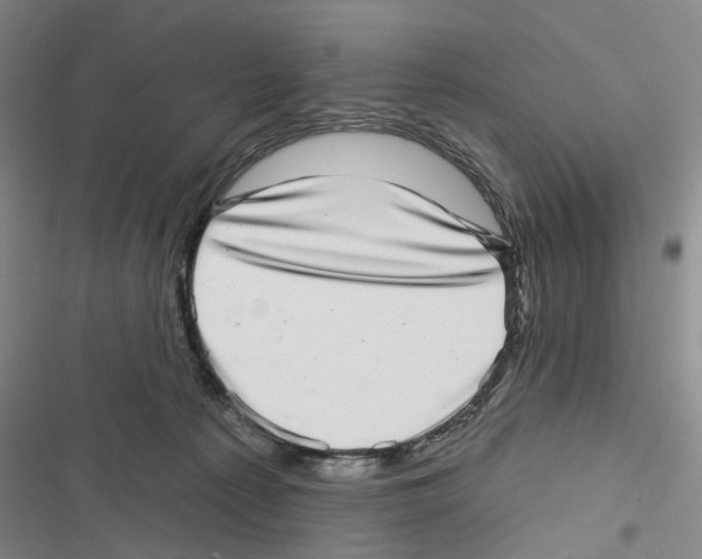X0000116810225201001151150