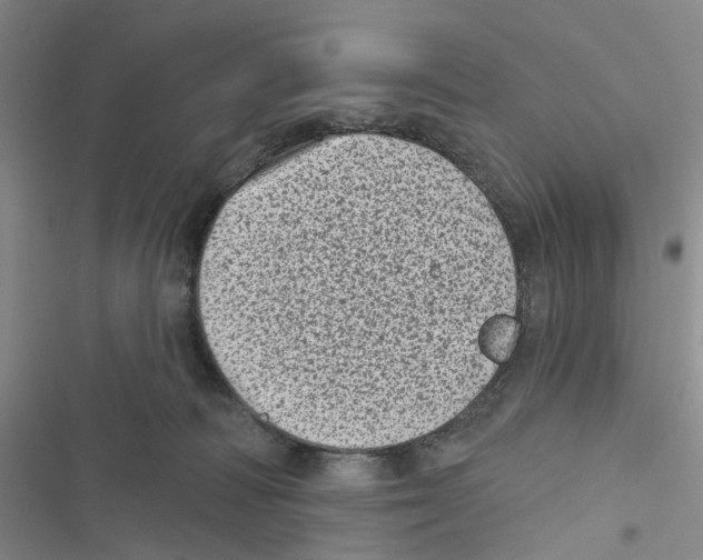 X0000116810226201001151150