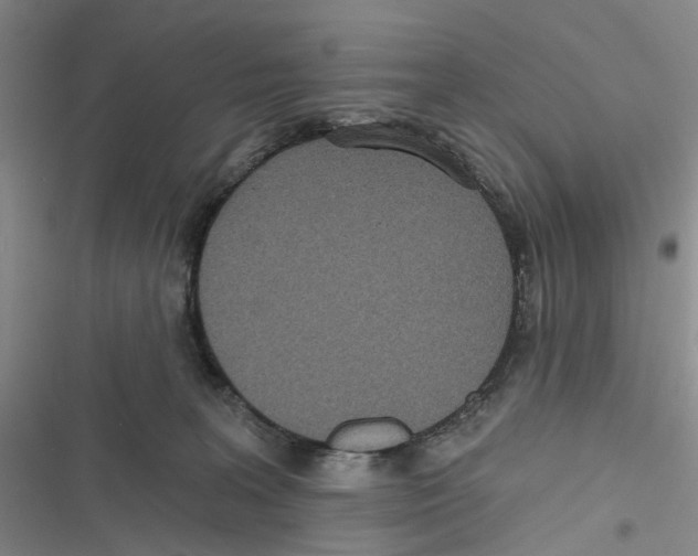 X0000116810227201001151150