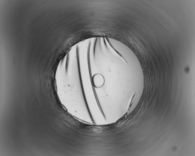 X0000116810229201001151150