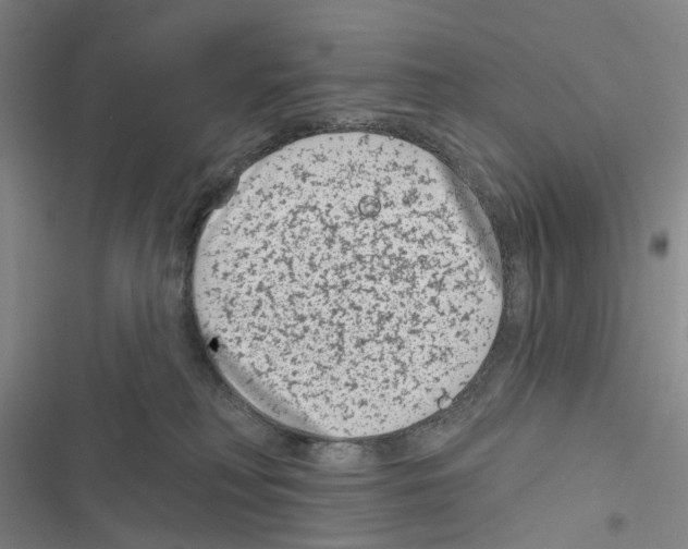 X0000116810230201001151150