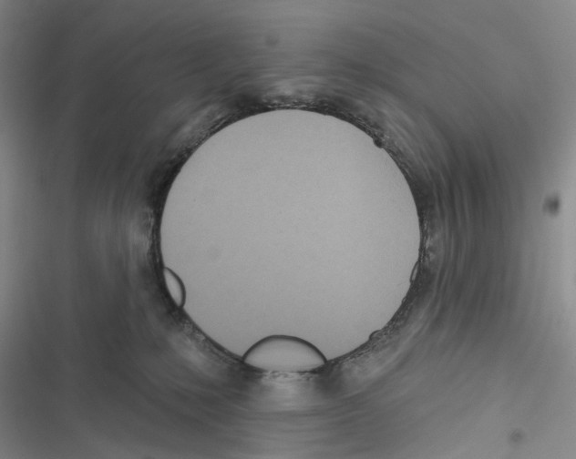 X0000116810231201001151150