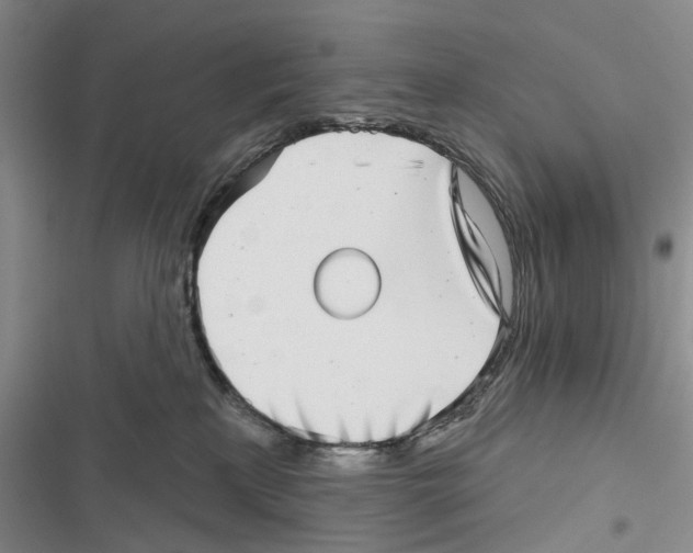 X0000116810233201001151150
