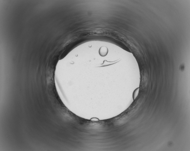 X0000116810236201001151150