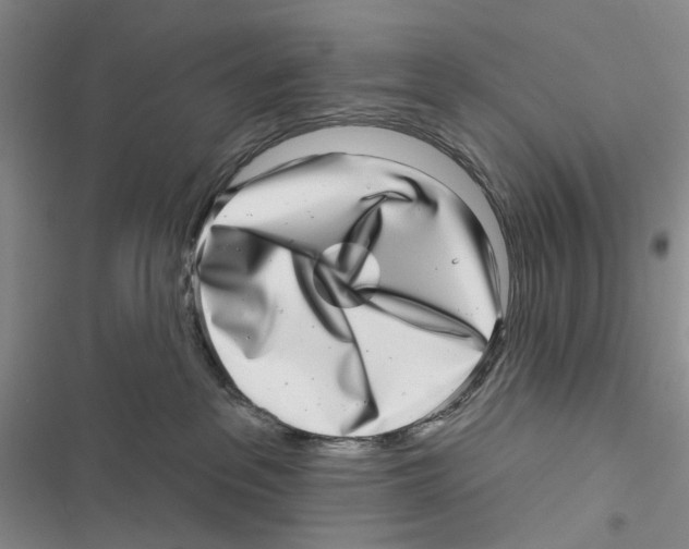 X0000116810237201001151150