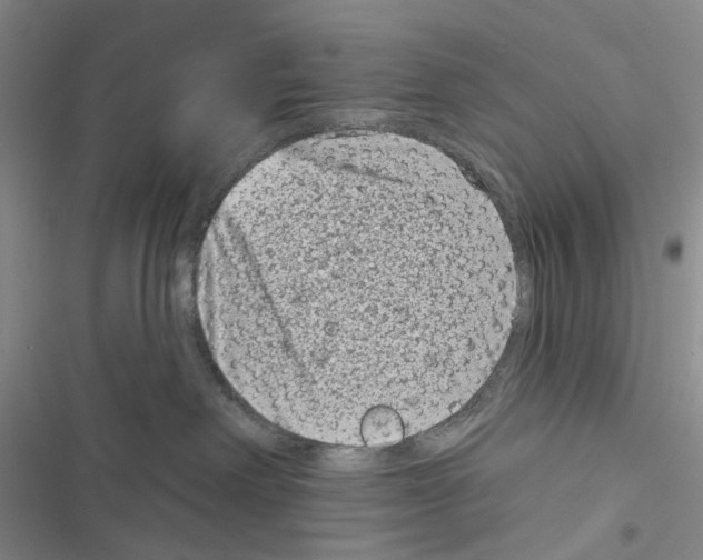 X0000116810238201001151150