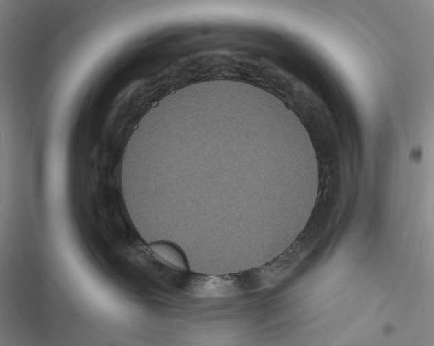 X0000116810239201001151150