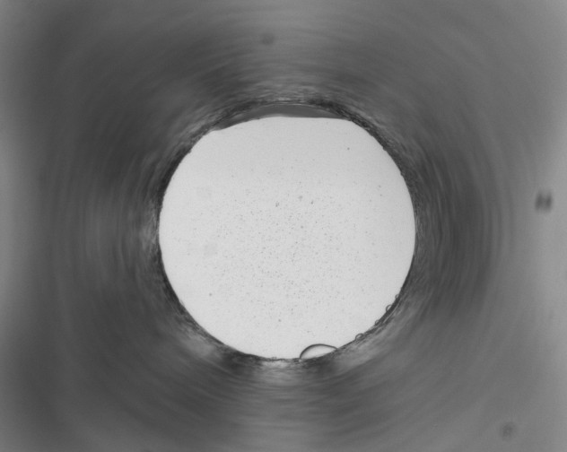 X0000116810240201001151150
