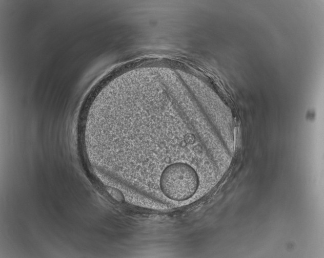 X0000116810243201001151149