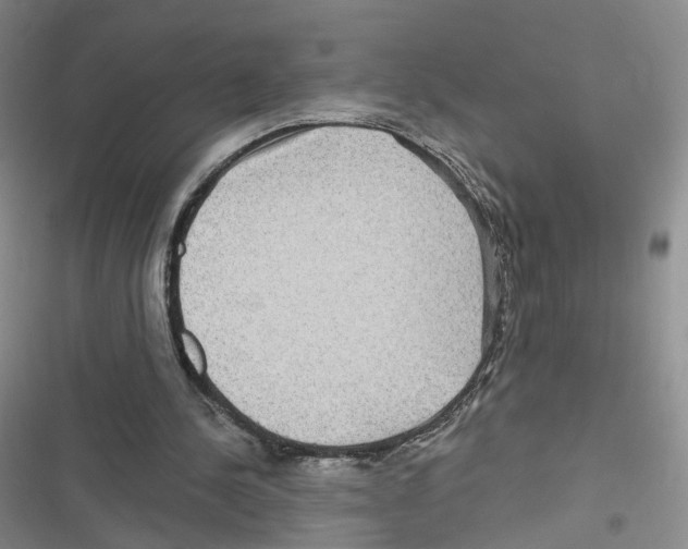 X0000116810244201001151149