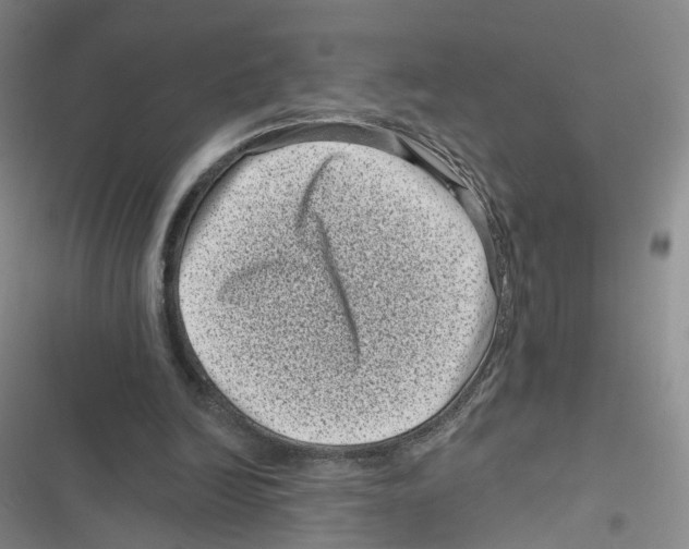 X0000116810246201001151149