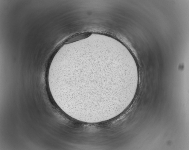 X0000116810249201001151150