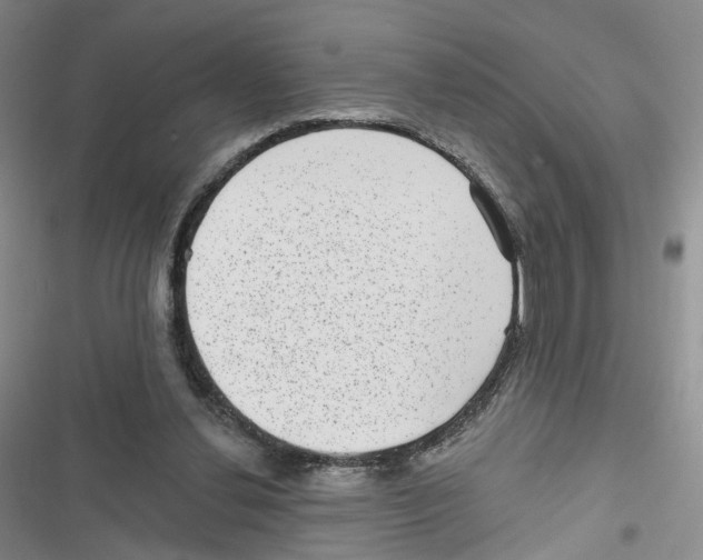X0000116810252201001151150