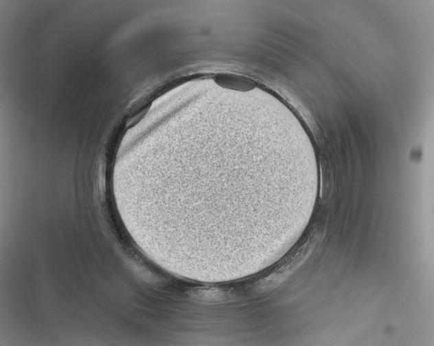 X0000116810253201001151150