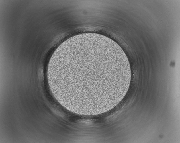 X0000116810254201001151150