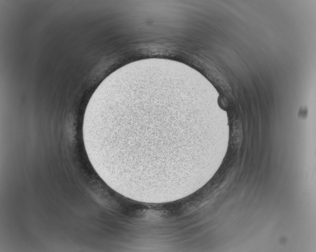 X0000116810255201001151150