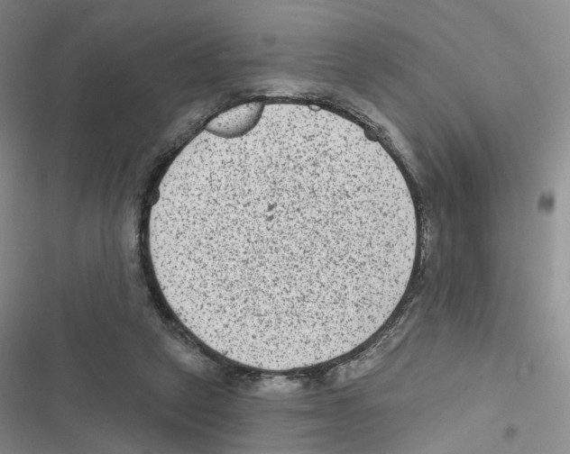X0000116810257201001151150