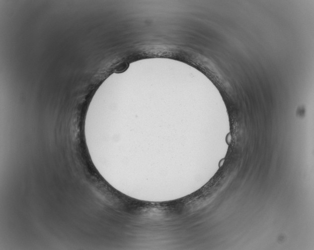 X0000116810259201001151150