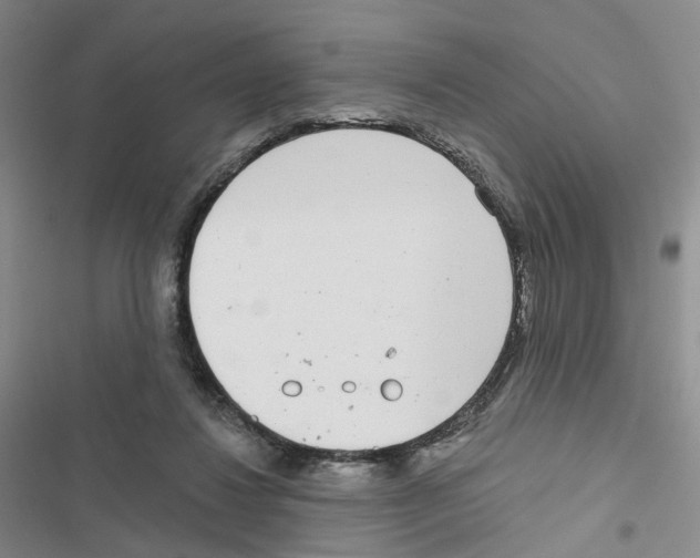 X0000116810260201001151150