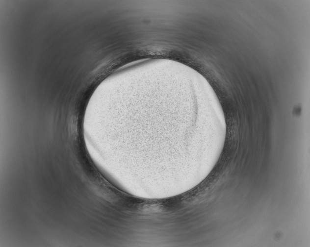 X0000116810262201001151150