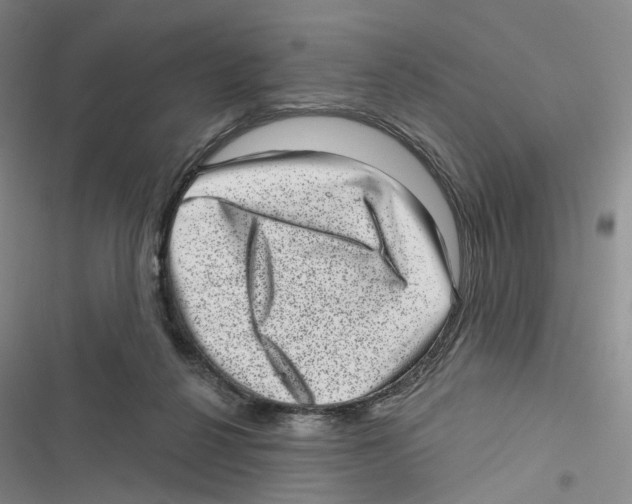 X0000116810264201001151150