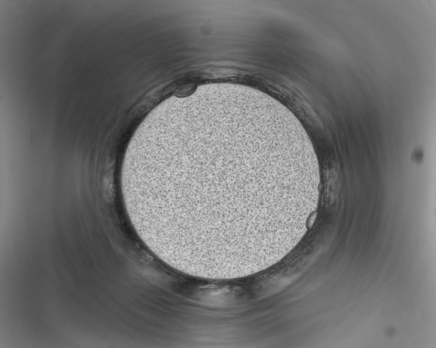 X0000116810267201001151150