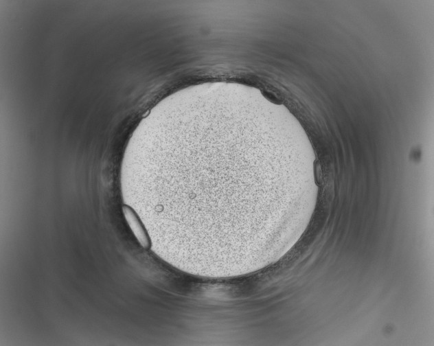 X0000116810268201001151150