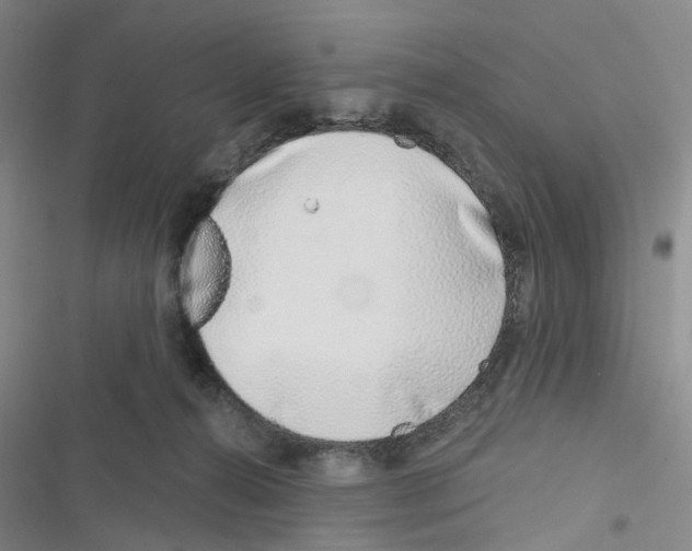 X0000116810272201001151150