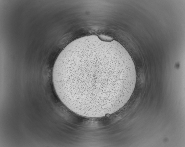 X0000116810276201001151150