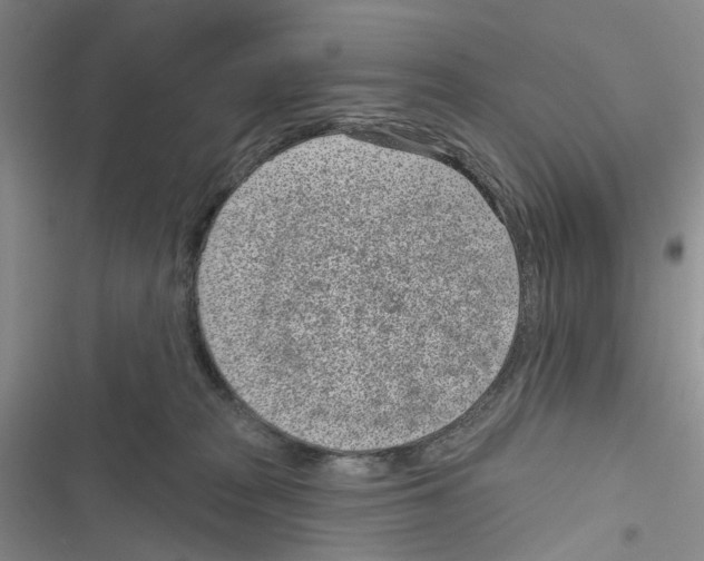 X0000116810277201001151150