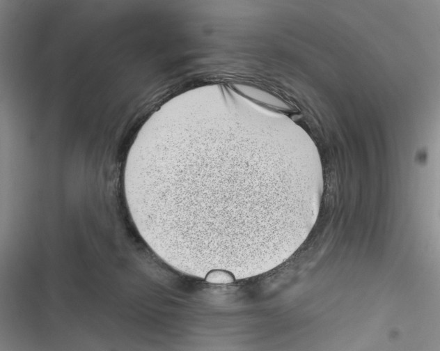 X0000116810278201001151150