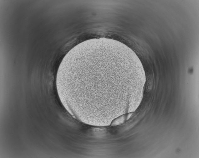 X0000116810279201001151150