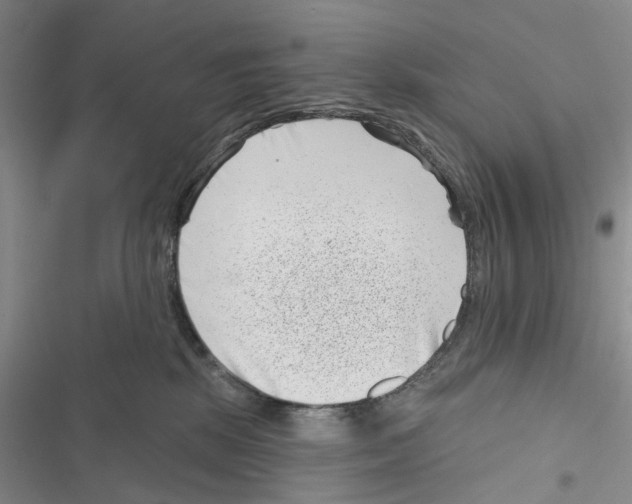 X0000116810281201001151150