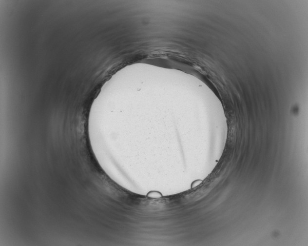 X0000116810282201001151150