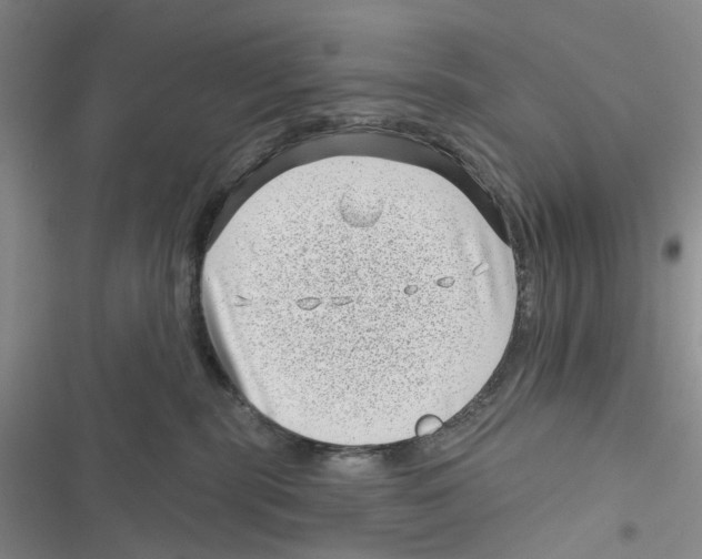 X0000116810283201001151150