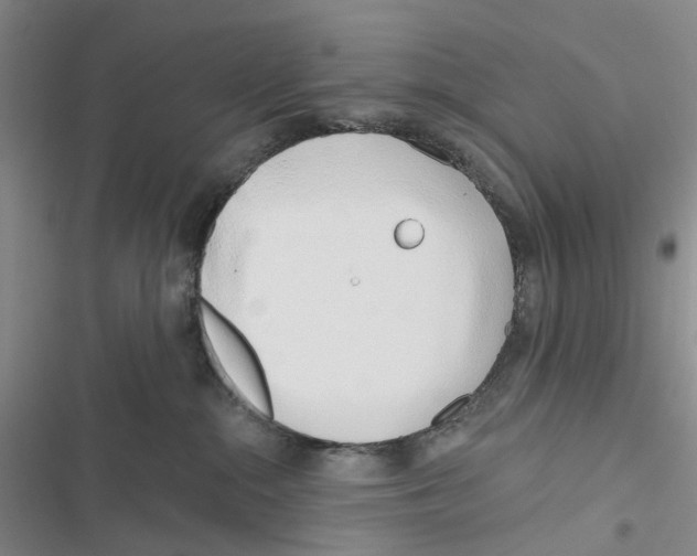 X0000116810284201001151150