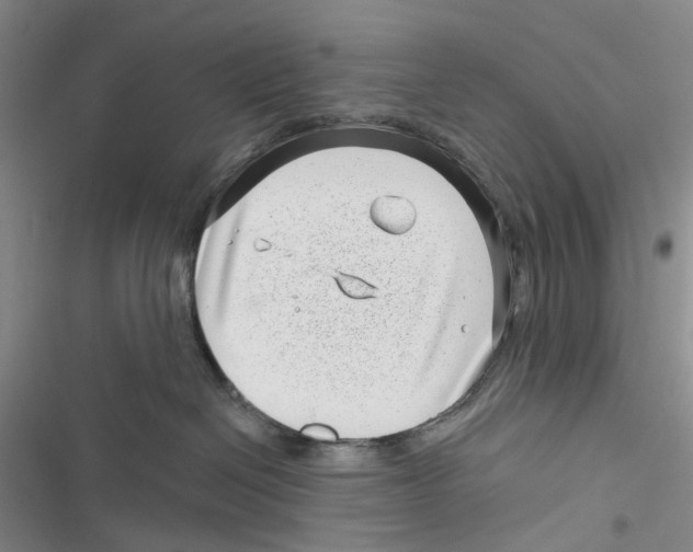 X0000116810286201001151150