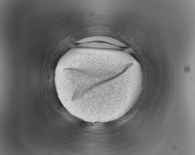 X0000116810288201001151150