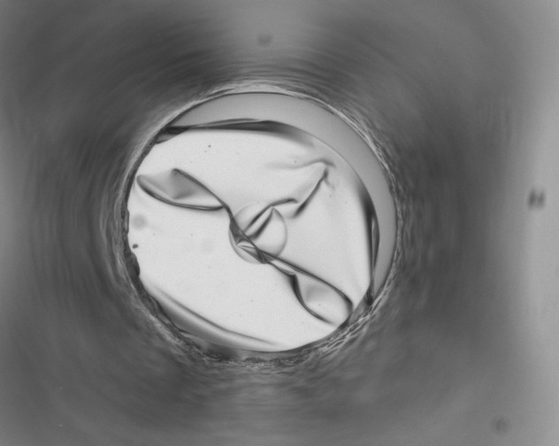 X0000116810289201001151149