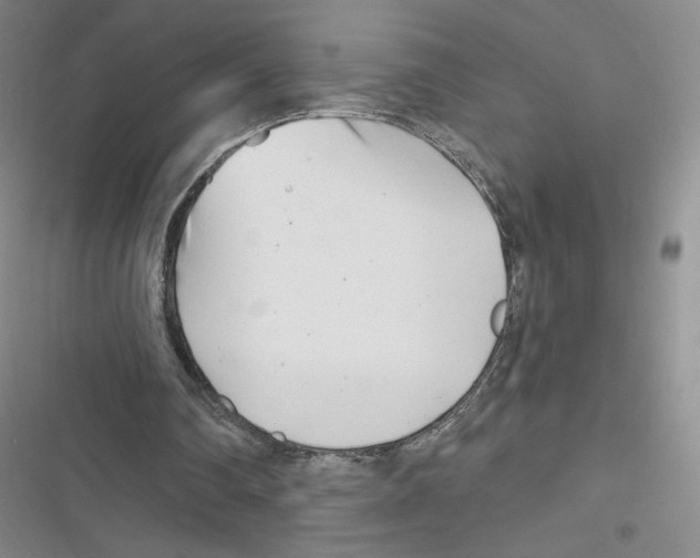 X0000116810290201001151149