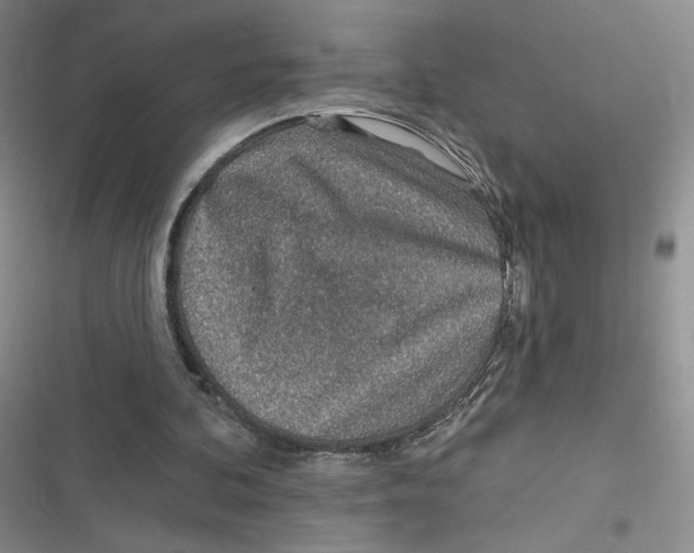 X0000116810292201001151149