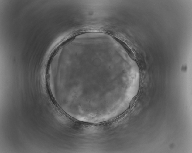 X0000116810293201001151149