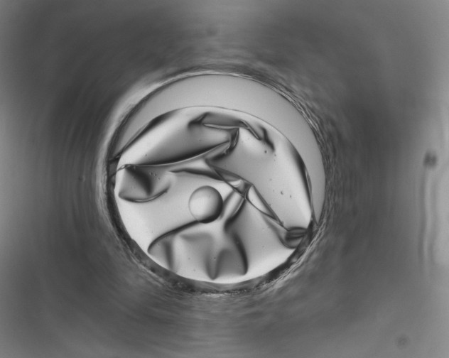 X0000116810294201001151149