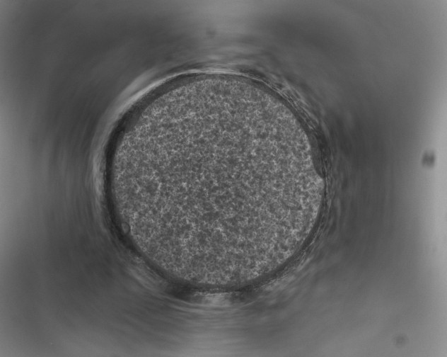 X0000116810295201001151149