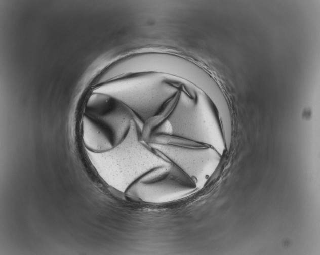 X0000116810296201001151149