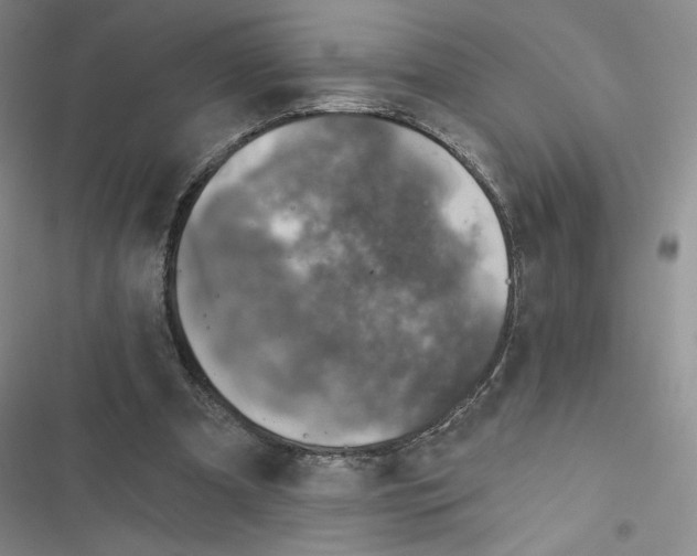 X0000116810297201001151149