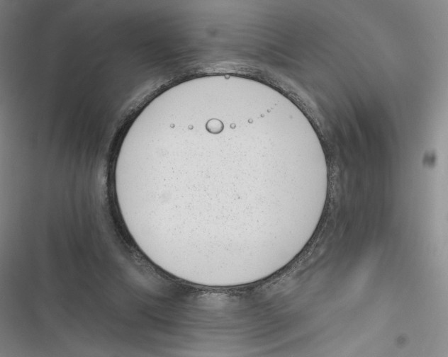 X0000116810298201001151149